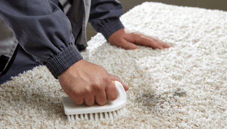Professional Rug Cleaning Mernda